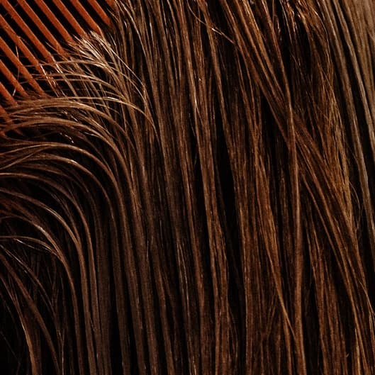 Mother’s Day special at Hair Design by Yvonne in Florida, FL